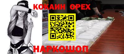 крисы Будённовск