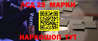крисы Будённовск