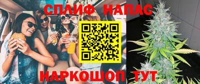 крисы Будённовск