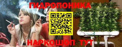 крисы Будённовск
