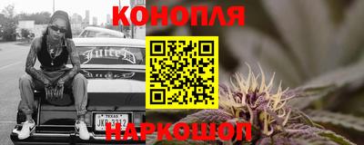 крисы Будённовск