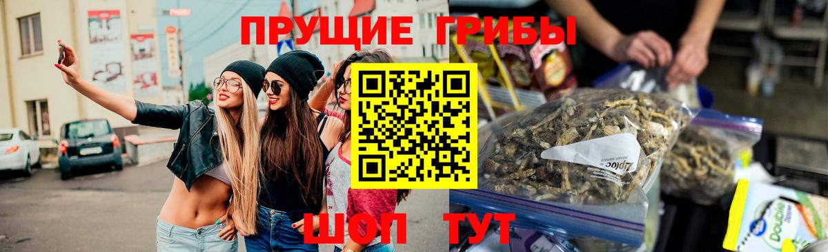 Псилоцибиновые грибы мицелий  как найти наркотики  Псилоцибиновые грибы Cubensis  Краснокаменск  Вход с VPN 